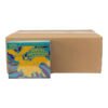 Pokémon TCG Mega Evolution - Ascended Heroes Elite Trainer Box Case (10 ETBs)